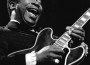 bbking